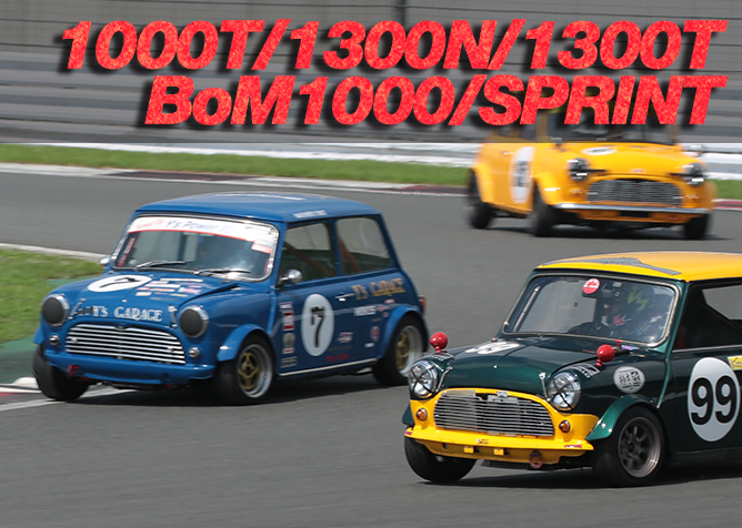 1000T / 1300N / 1300T / BoM1000 / SPRINT